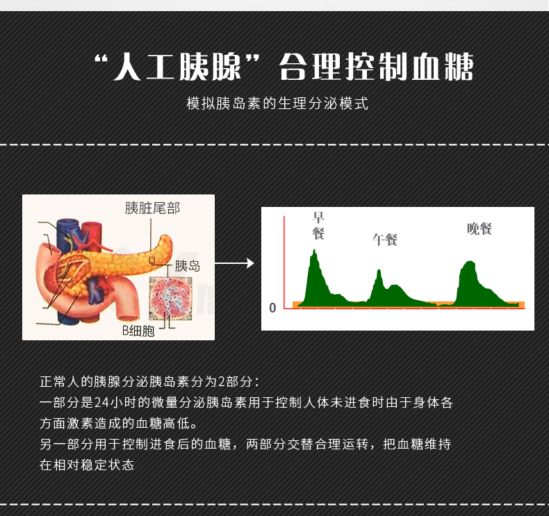 丹纳胰岛素泵